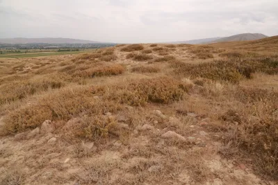 Жалгыз-Өрүк II көрүстөнү